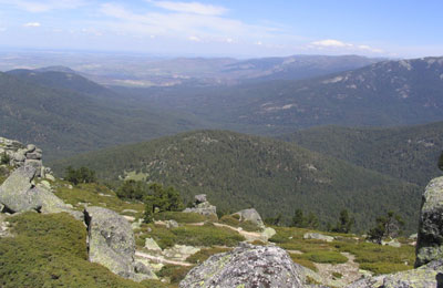 Montes de Valsaín