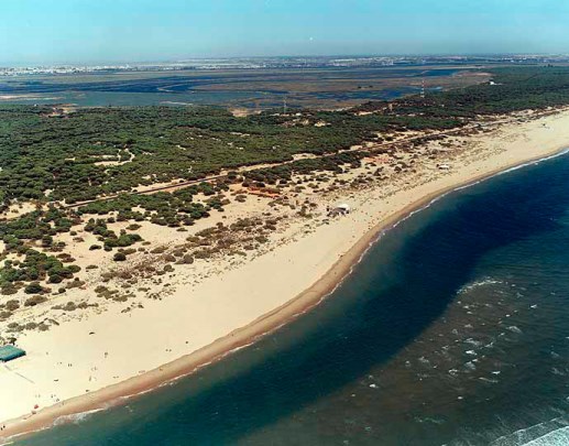 Playa de el Portil