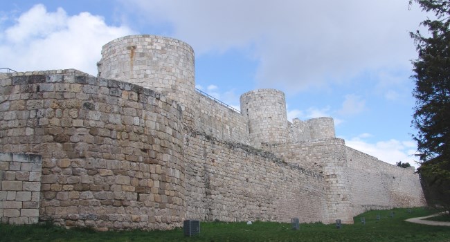 Castillo de burgos
