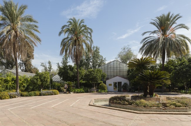 Real Jardín Botánico Córdoba