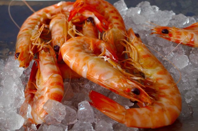 Langostinos de Vinaroz Castellón