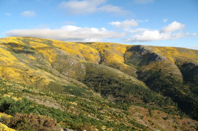 Cerro de la Escusa Valle de Iruelas