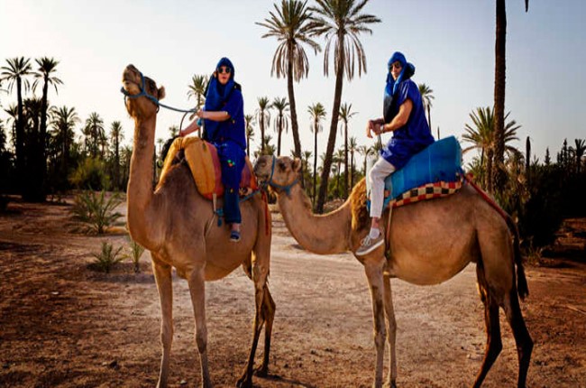 Paseo en camellos Almería