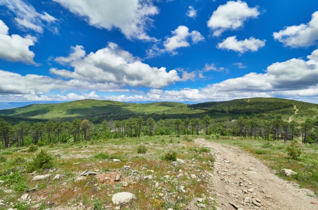 senda de Viriato Toledo