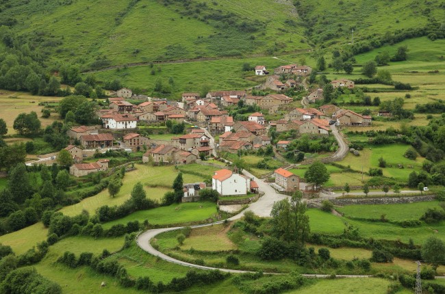 Tudanca Cantabria