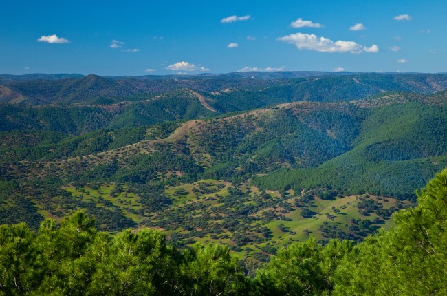 Parque Natural Sierra de Cardeña y Montoro