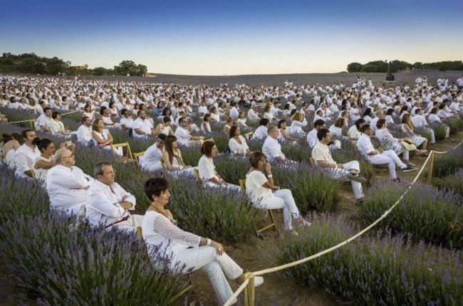 festival lavanda Brihuega