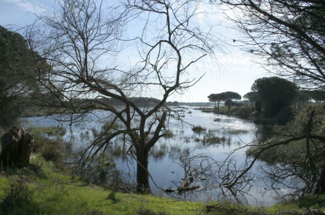 laguna de Acebuche Huelva