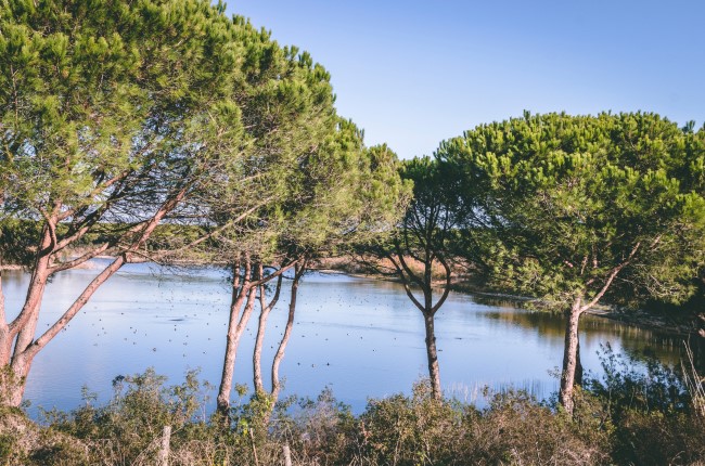 laguna de El Portil Huelva