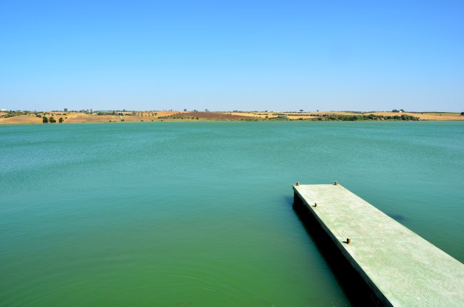 Lago de Arcos Cádiz