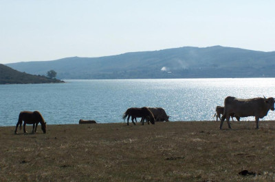 La Casa del Lago de Campoo - Foto 30
