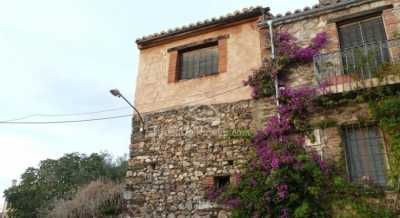 El Nido de La Collalba