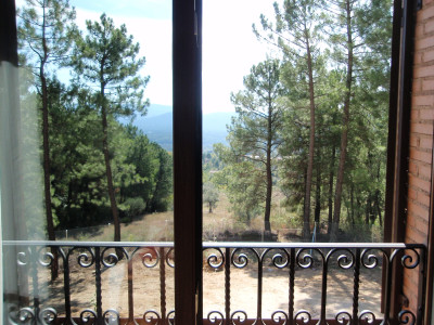 El Cuco del Tietar - Foto 23