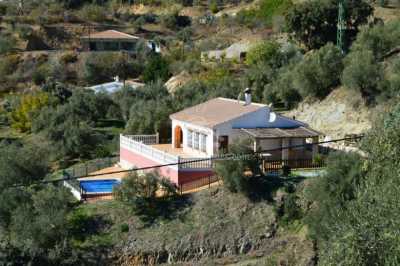 Casa Verde Oliva