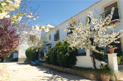 El Molino de Morillas - Foto 1