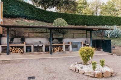 Pla Noguera - Foto 100