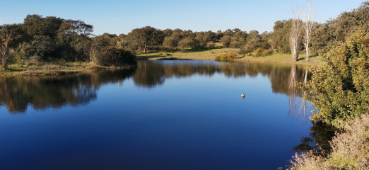 Dehesa Sierra León - Foto 51