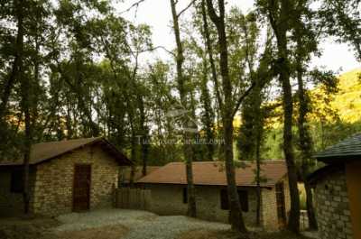 Bungalow-Cabañas en Albergue y Camping Valle do Seo