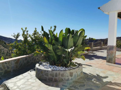 Casa Centenillo - Foto 31