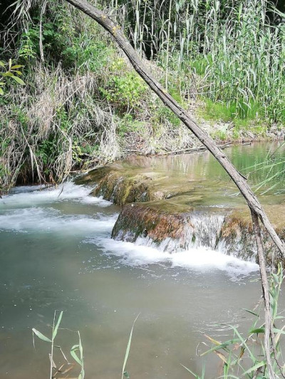 El Majuelo - Foto 52