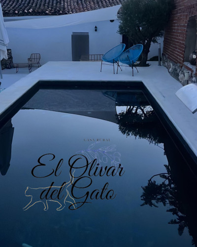 El Olivar del Gato - Foto 2