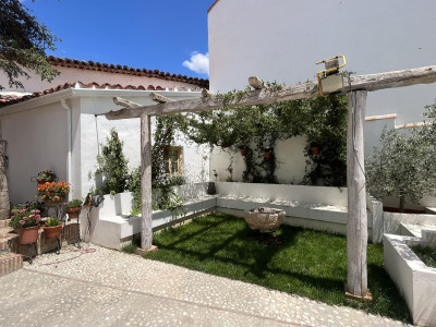 El Olivar del Gato - Foto 1