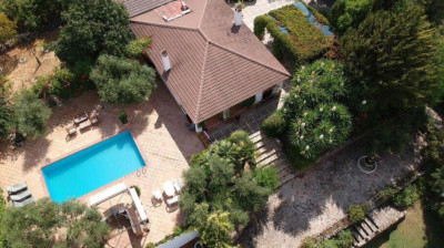 La Algazara - Foto 1