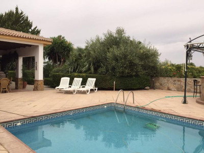 La Algazara - Foto 2