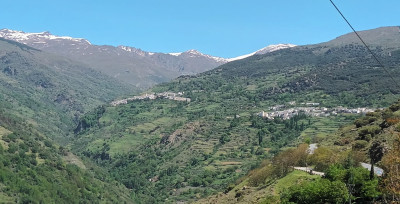 El Rincón del Amor - Foto 44