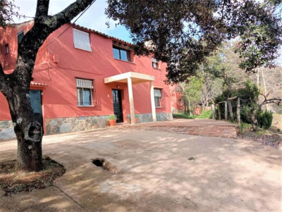 La Picanova - Foto 2