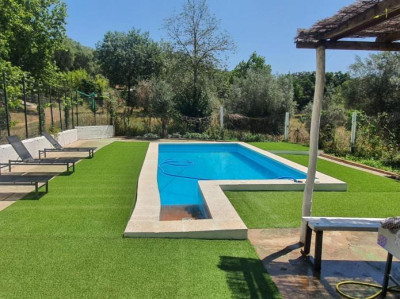 La Picanova - Foto 1