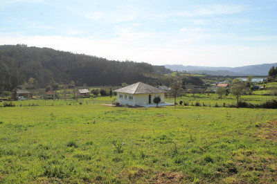 Las Camelias - Foto 29