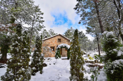 Casas Rurales Fuente el Ojico - Foto 2