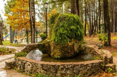 Casas Rurales Fuente el Ojico - Foto 12