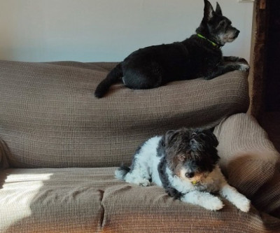 Pikuko Borda - Foto 29