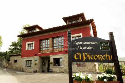 Apartamentos Rurales El Picoretu
