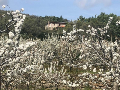 Casa Rural Cerro - Foto 45