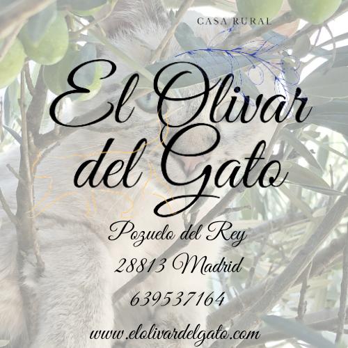 Propietario de El Olivar del Gato