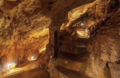 Cueva del Canelobre