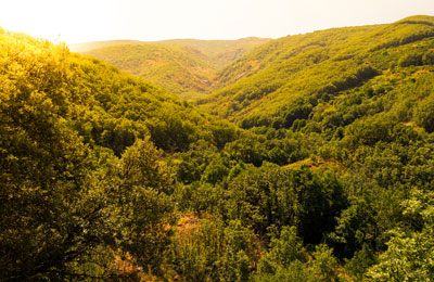 Valle del Jerte