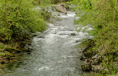 Río Asón