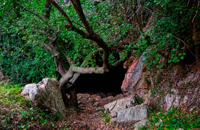 Cueva de la Muela