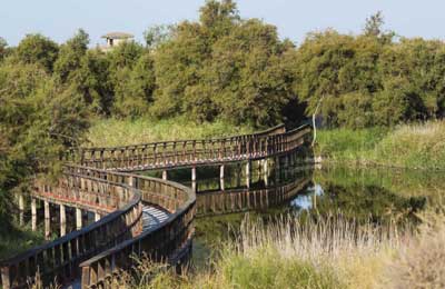 Parque Nacional de las Tablas de Daimiel
