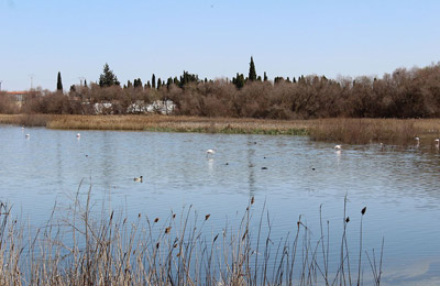 Laguna del Pueblo
