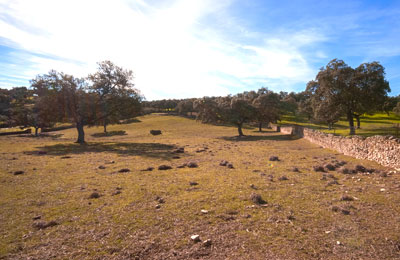 Parque Natural Sierra Cardeña