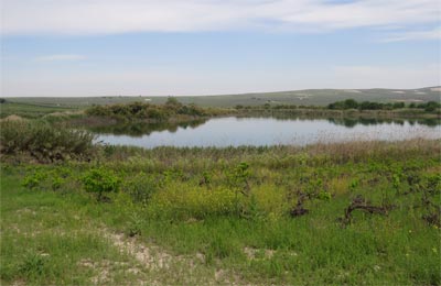 Laguna del Rincón
