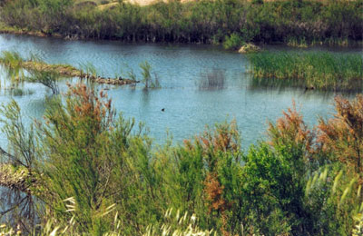 Laguna de la Balastrera