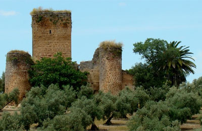 Castillo de la Aragonesa