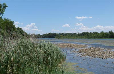 Reserva natural Los Sotos del Ebro