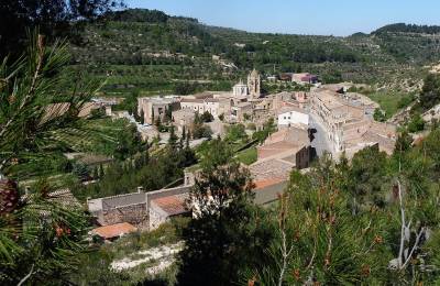 Vallbona de les Monges